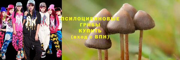винт Белокуриха