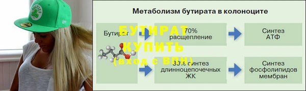 a pvp Бородино