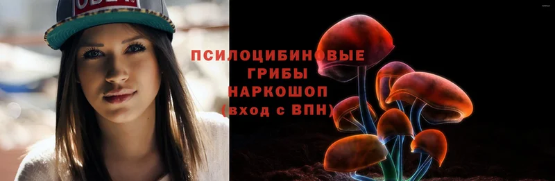 Псилоцибиновые грибы Psilocybe  магазин продажи наркотиков  Вязники 