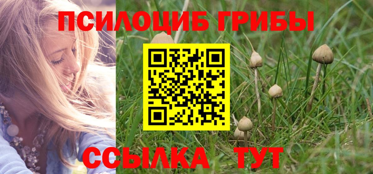 Галлюциногенные грибы Cubensis  Псилоцибиновые грибы ЛСД  Вязники 